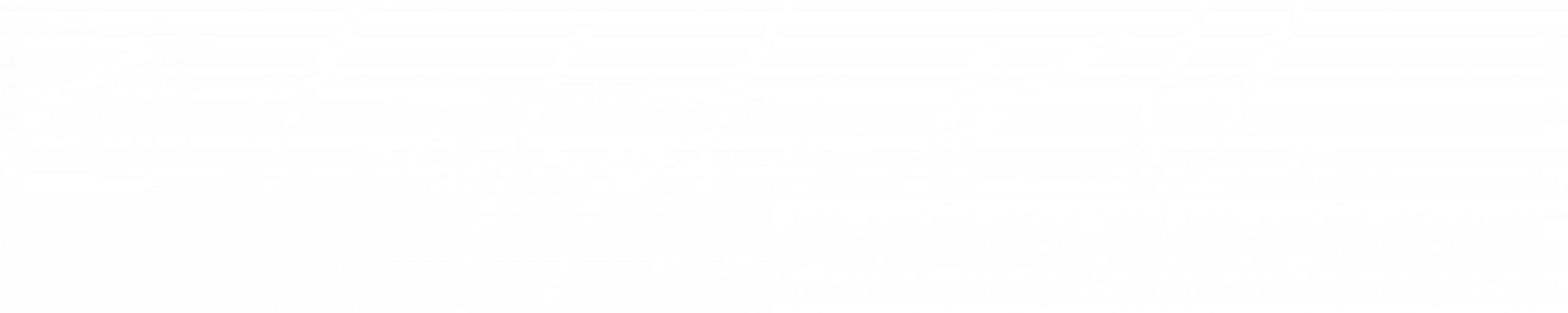 HOCHZEITSFOTOGRAF RHEIN-NECKAR-KREIS